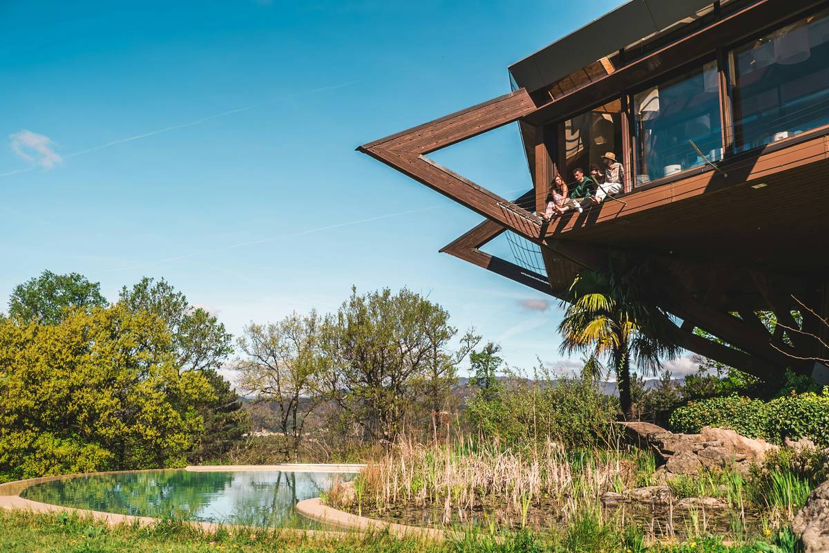 Modern cabin rentals featuring clean lines, exposed timber beams, and large glass walls overlooking pine forest